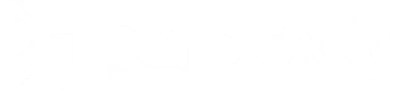 perplexity light
