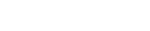 deepseek logo.w