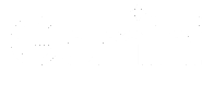 gemini wt